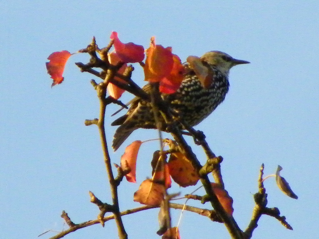 Bild 674_jpg-1380319387