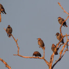 DSCN4062_JPG-1380319349