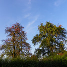 Bild 678_jpg-1380319392