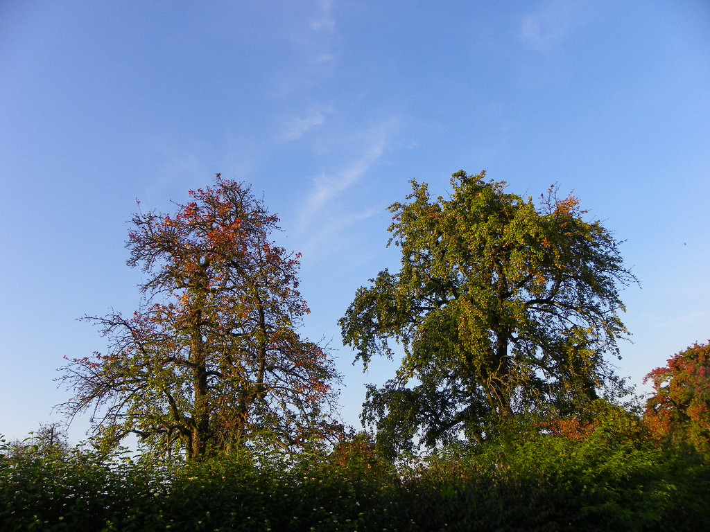 Bild 678_jpg-1380319392