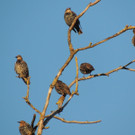 DSCN4068_JPG-1380319364