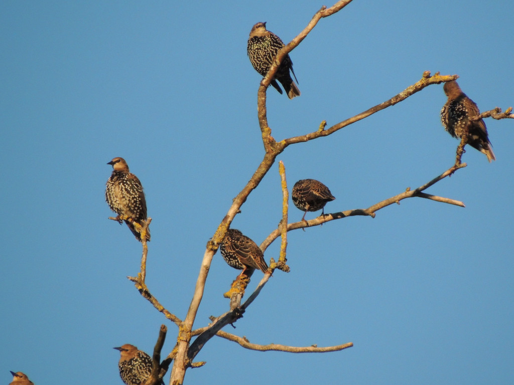 DSCN4068_JPG-1380319364