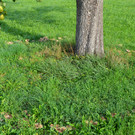 p4_jpg-1380361504