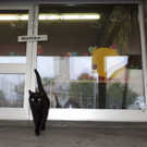 DSCN6269_JPG-1380441853