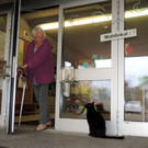 DSCN6271_JPG-1380441859