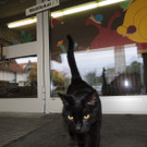 DSCN6270_JPG-1380441857