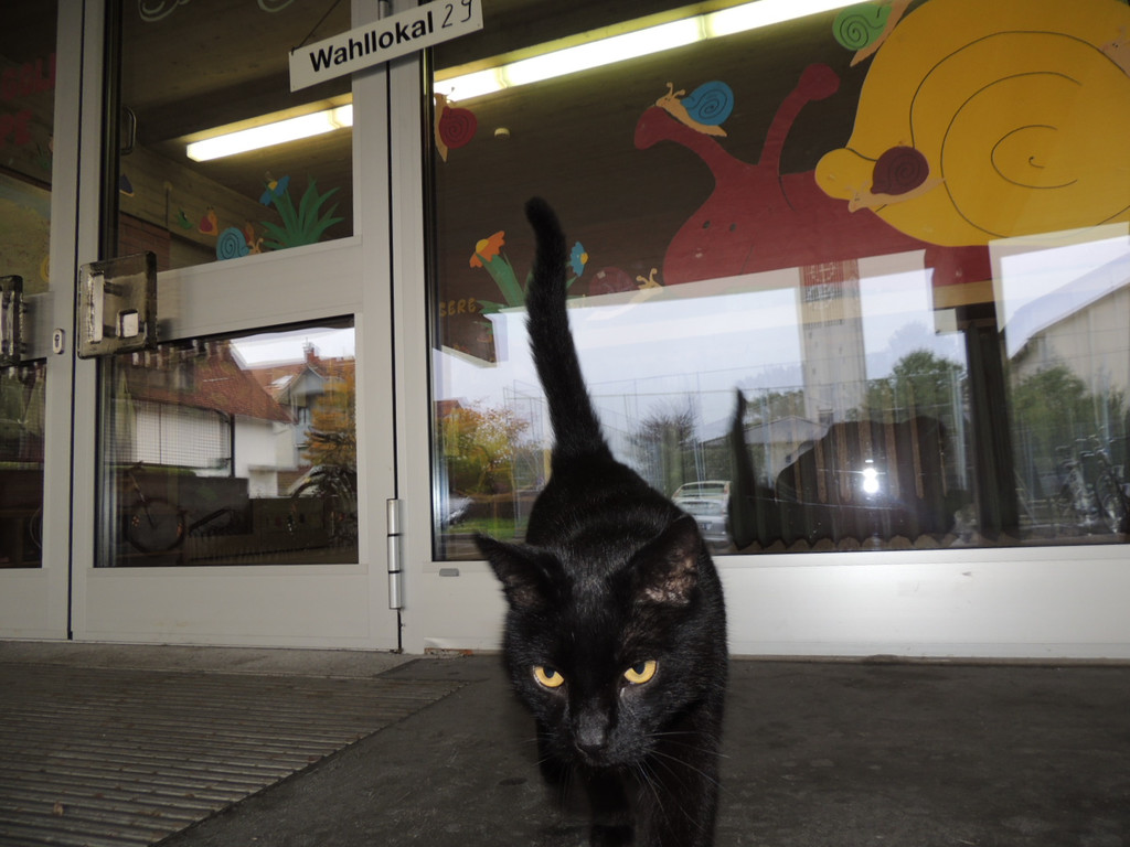 DSCN6270_JPG-1380441857