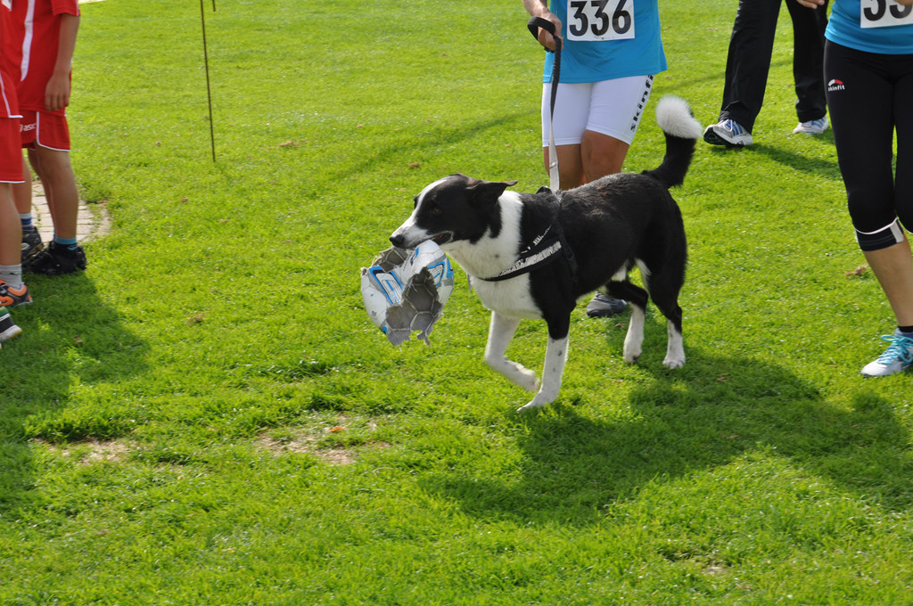 barcley2_jpg-1380441931