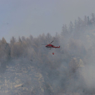 normal_180310waldbrangfbaktivnews_20_1_.jpg