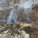 normal_180310waldbrangfbaktivnews_20_10_.jpg
