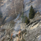 normal_180310waldbrangfbaktivnews_20_12_.jpg