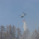 normal_180310waldbrangfbaktivnews_20_26_.jpg