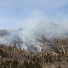 normal_180310waldbrangfbaktivnews_20_28_.jpg