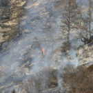 normal_180310waldbrangfbaktivnews_20_3_.jpg