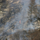 normal_180310waldbrangfbaktivnews_20_4_.jpg