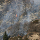 normal_180310waldbrangfbaktivnews_20_6_.jpg