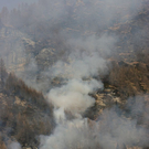 normal_180310waldbrangfbaktivnews_20_9_.jpg