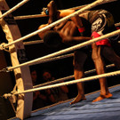 13200689.jpg