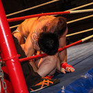 13200590.jpg