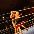 13200579.jpg