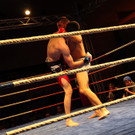 13200569.jpg