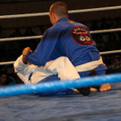 13200253.jpg