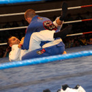 13200242.jpg