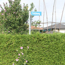 Feldweg, Fischerweg und Flurweg