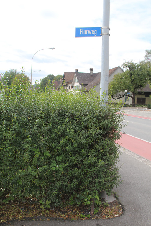 Flurweg_1_jpg-1380460651