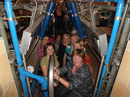 DSC00403_JPG-1380465696