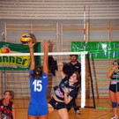 DSC_0009_001.JPG