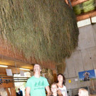DSC_7599.jpg