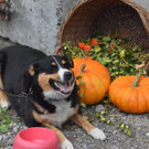 DSC_7618.jpg