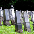 DSC03313.JPG