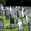 DSC03314.JPG