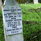 DSC03316.JPG