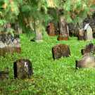 DSC03321.JPG