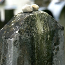 DSC03322.JPG