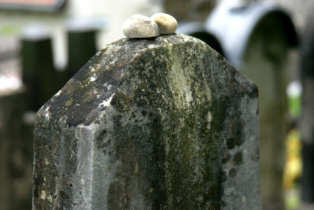 DSC03322.JPG