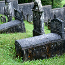 DSC03323.JPG