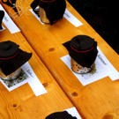 DSC02543.JPG