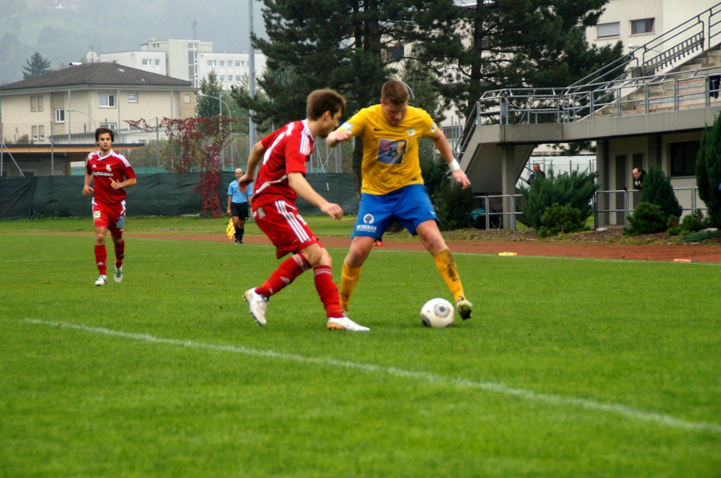 DSC02523.JPG