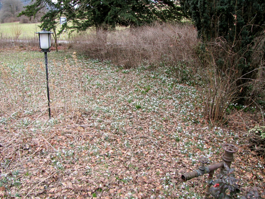KOE-Besuch Letzehof 37_jpg-1268986007