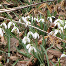 KOE-Besuch Letzehof 38_jpg-1268986016