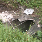 29092013_T2 MR Penk _12_.jpg