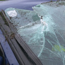 29092013_T2 MR Penk _19_.jpg