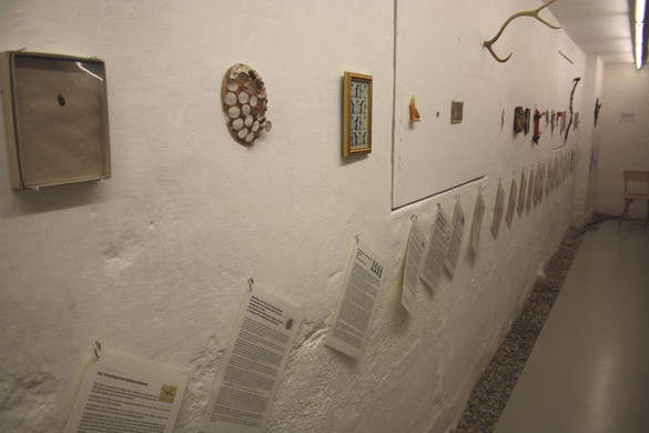 Walgau Sammeln-20_jpg-1380527206