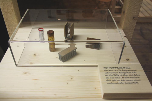 Walgau Sammeln-56_jpg-1380527360