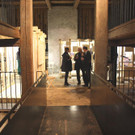 Walgau Sammeln-73_jpg-1380527388