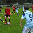 066 Kopie_jpg-1380532416